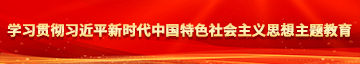 大鸡巴操逼视频网址免费学习贯彻习近平新时代中国特色社会主义思想主题教育